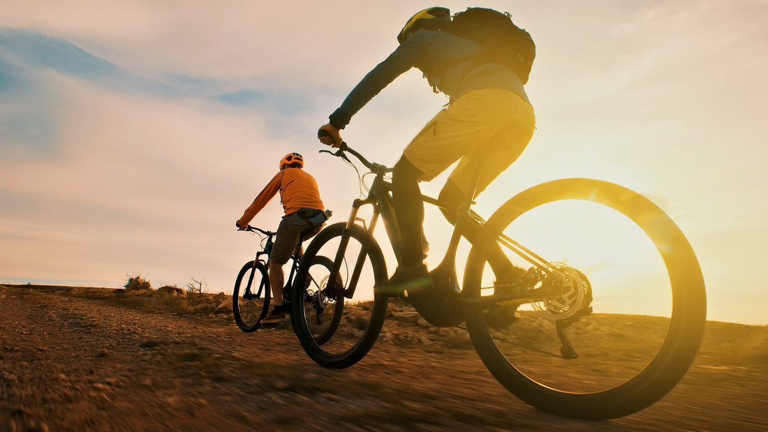 The 5 best cycle routes around Loch Lomond